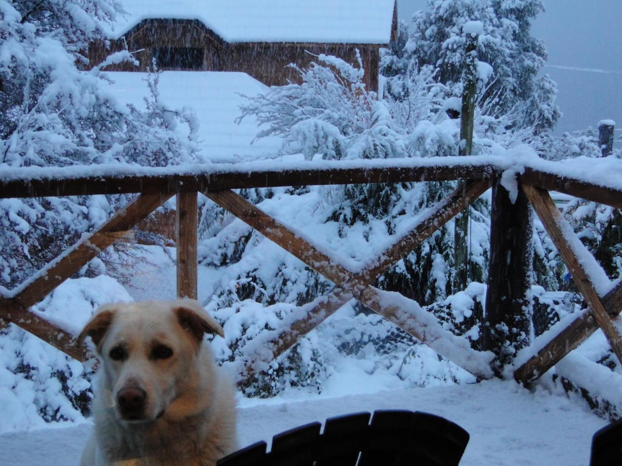 Maiten San Carlos de Bariloche
